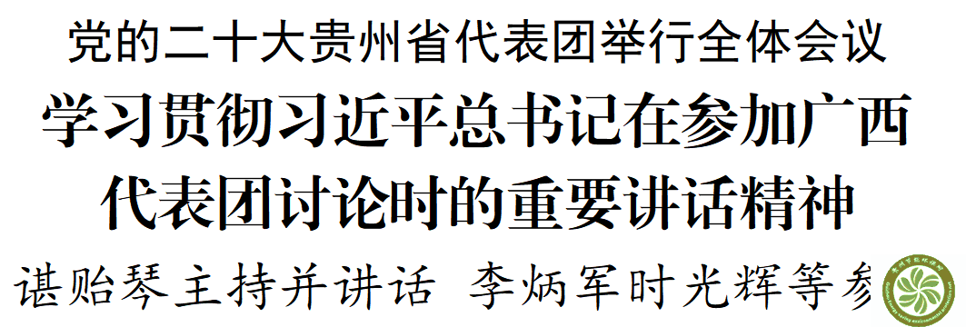 党的二十大贵州省代表团举行全体会议