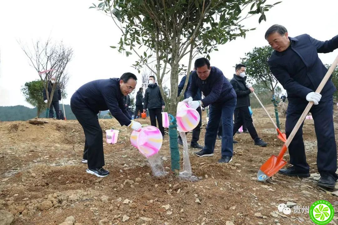 2023年全省义务植树活动举行 厚植底色提升成色增添亮色 加快在生态文明建设上出新绩